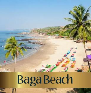 Female escorts Baga Beach, Goa